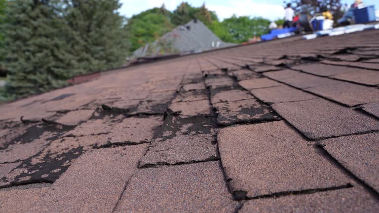 Best Roof Leak Repair  in Womelsdorf, PA