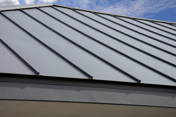 Best Sheet Metal Roofing  in Womelsdorf, PA
