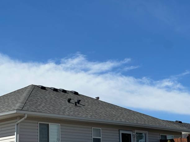 Best Roof Maintenance and Cleaning  in Womelsdorf, PA